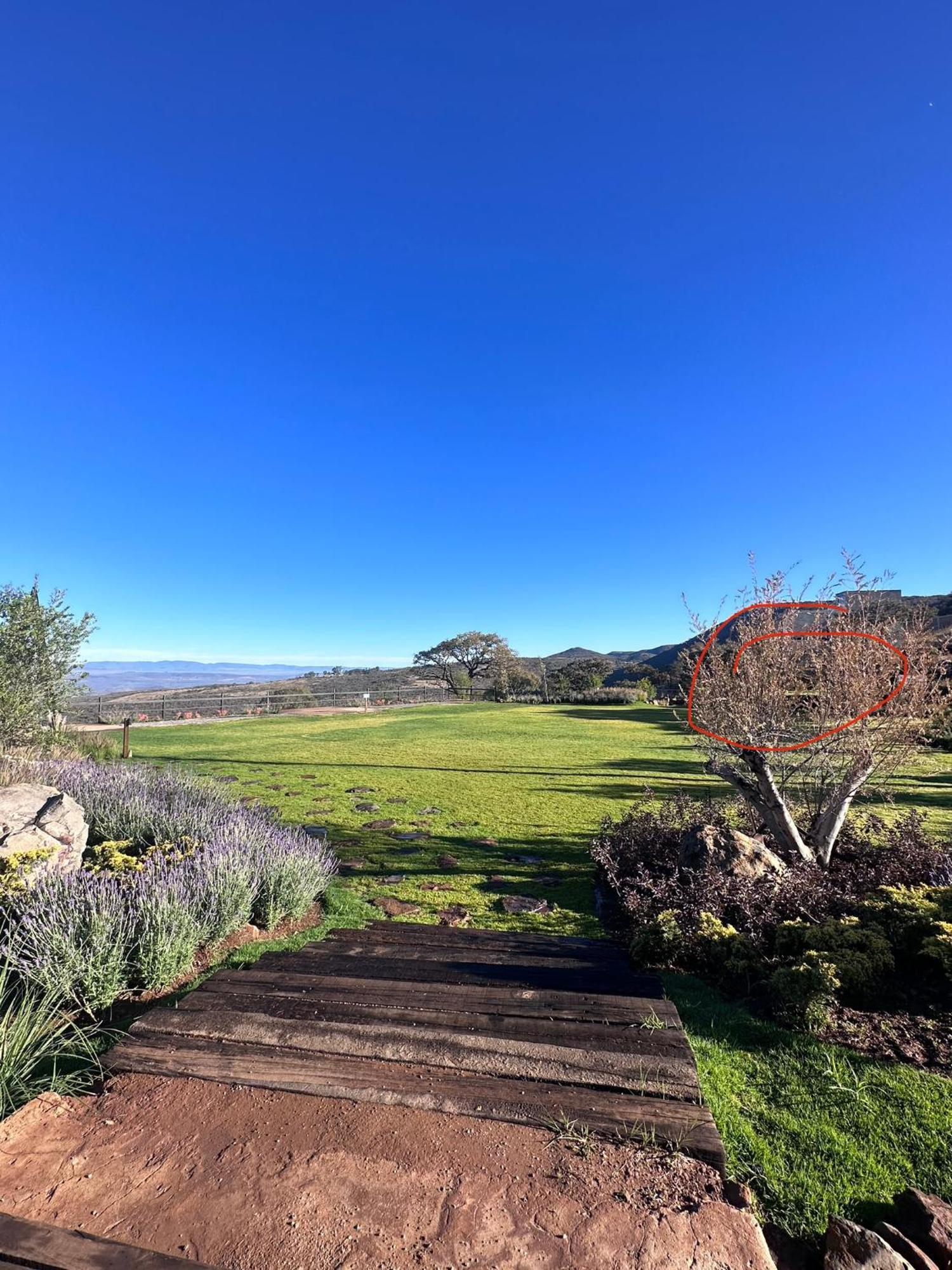 Finca La Cumbre Tepatitlan de Morelos Ngoại thất bức ảnh